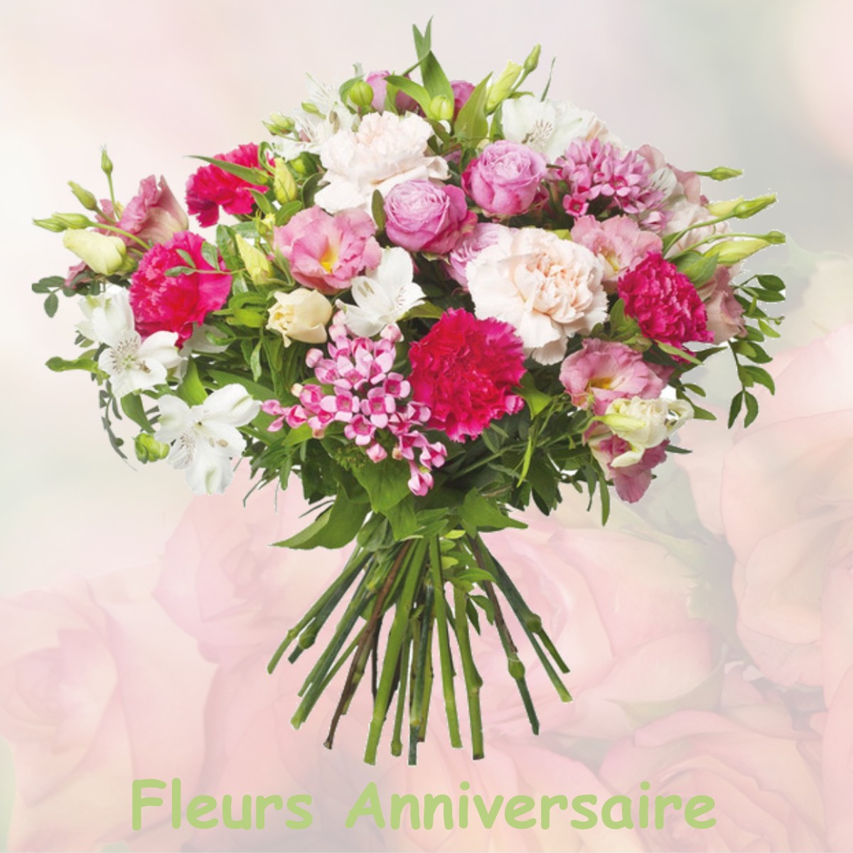 fleurs anniversaire LE-VAUDREUIL